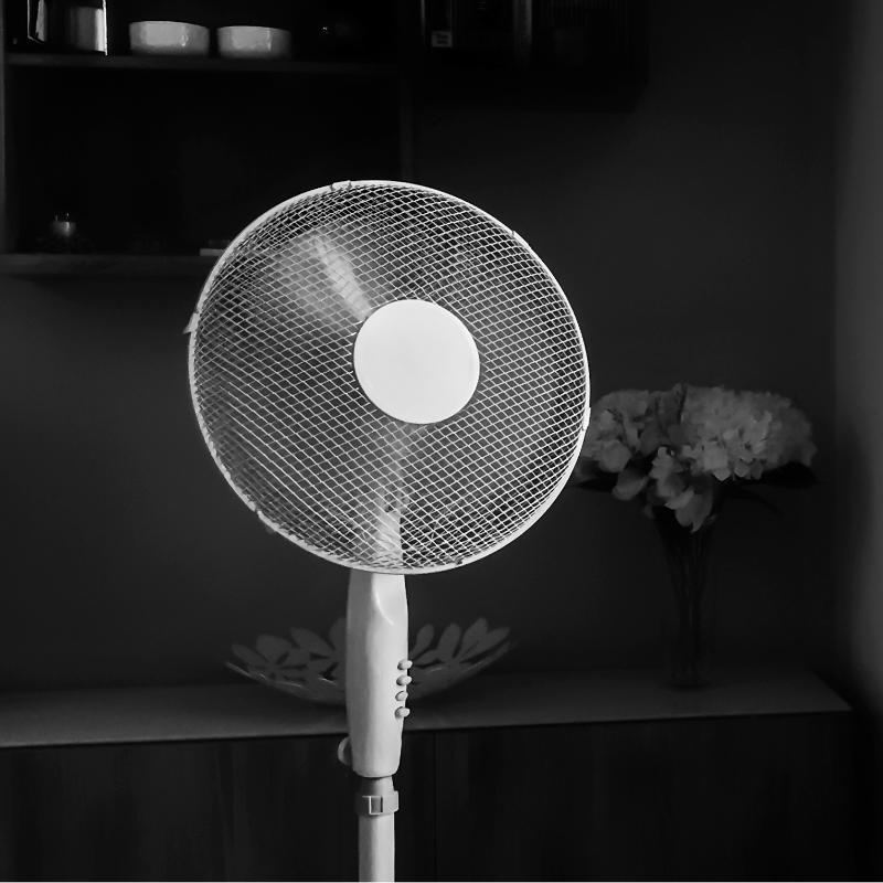 Electric Fan